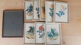 Antike Bilder-Rahmen / Bilder mit Rosen & Reiter 