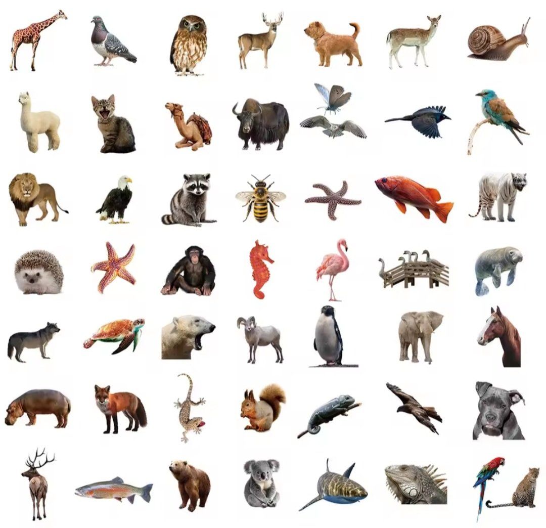 Sticker: 50 Aufkleber Sticker - Tiere – Nuovo e nell'imballaggio originale da Basel venduto da Kunterbunt12 1