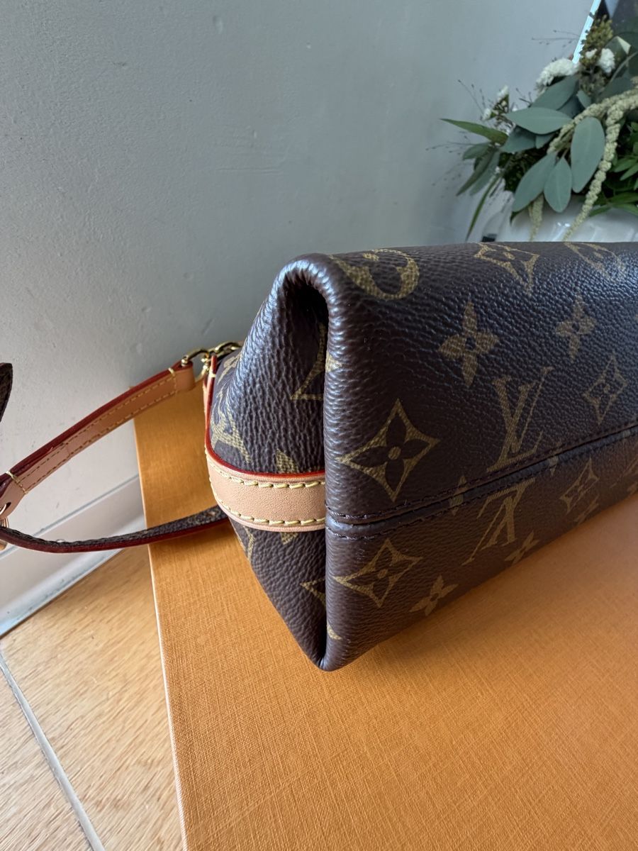 Louis Vuitton Borse da donna: Louis Vuitton Carry All BB – Nuovo (secondo la descrizione) da Murten venduto da nici1973 3