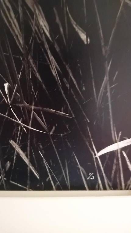 Foto & Immagini: Tirage original de Denis Brihat – Usato da Mont-Pèlerin venduto da gscherle 2