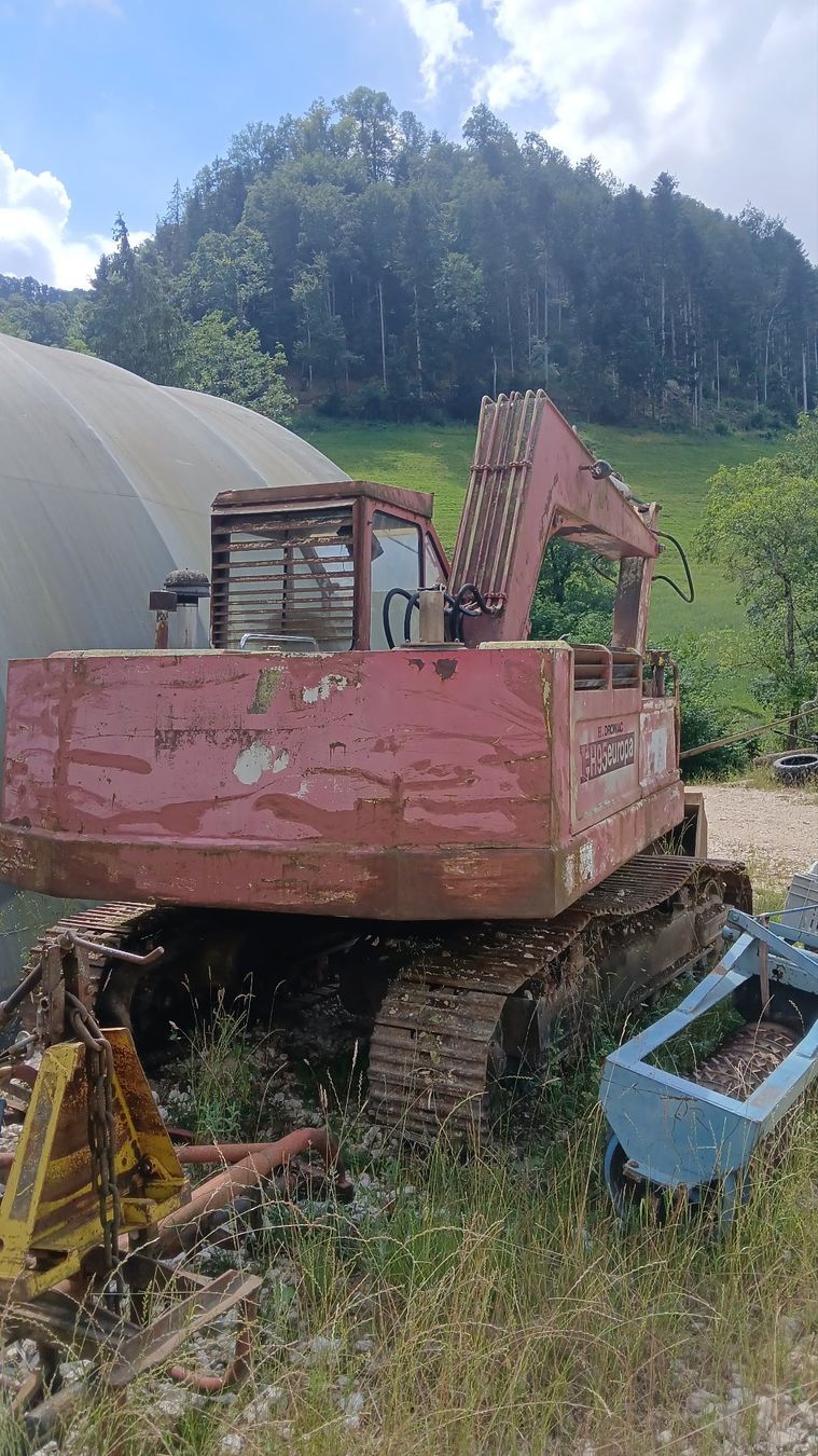 Excavateurs: Bagger – D'occasion à Vermes par thlk 1