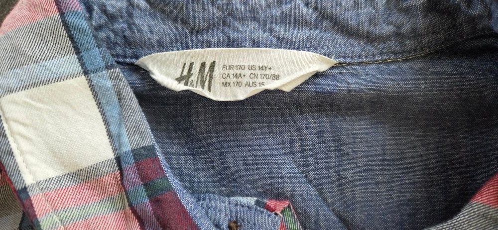H&M Camicie, T-shirt & Polo: Hemd Gr. 170 – Usato da Oberegg venduto da Roberto24 2