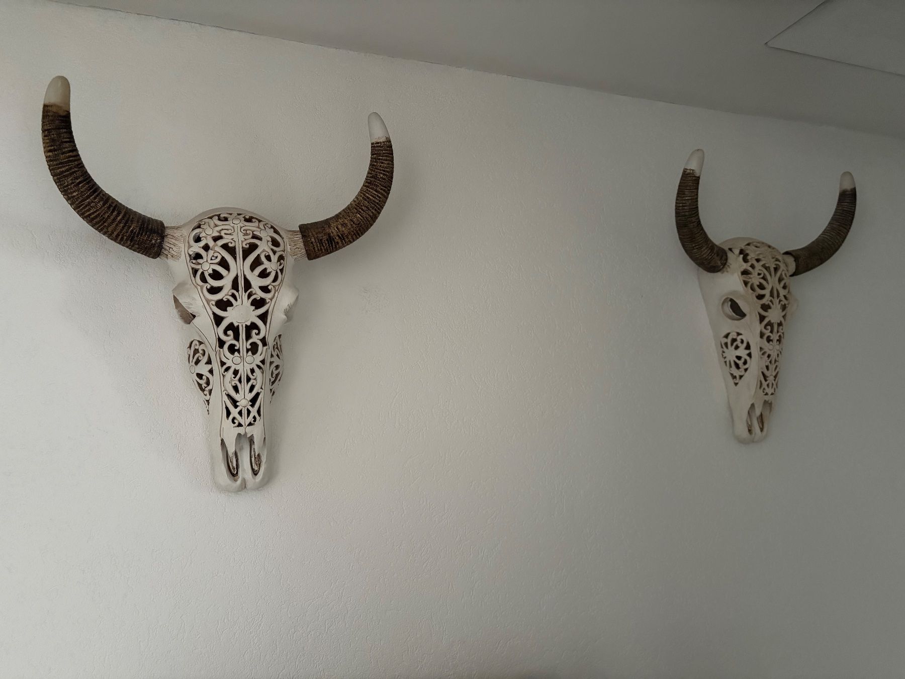 Interio Tutte le decorazioni: Deko Longhorn Schädel – Usato da Steinach venduto da Estil