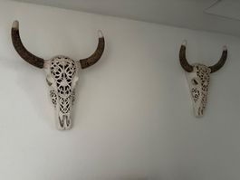 Deko Longhorn Schädel