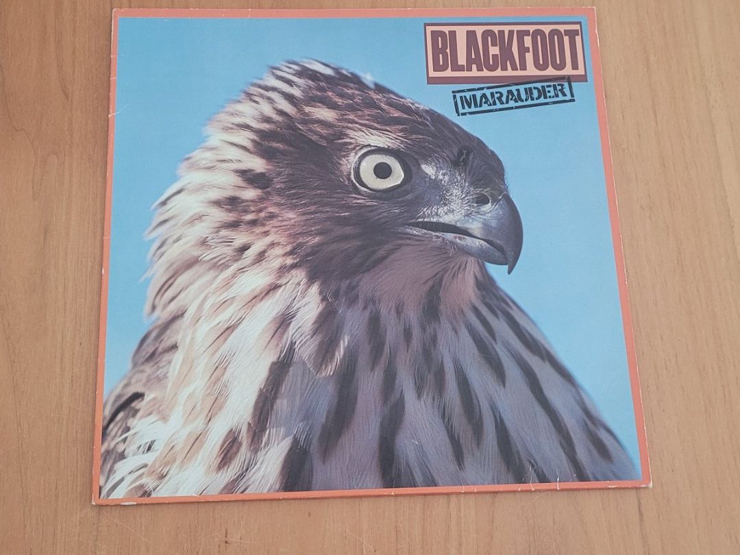 Schallplatten: LP  Blackfoot – Gebraucht aus Martigny von MZ-67