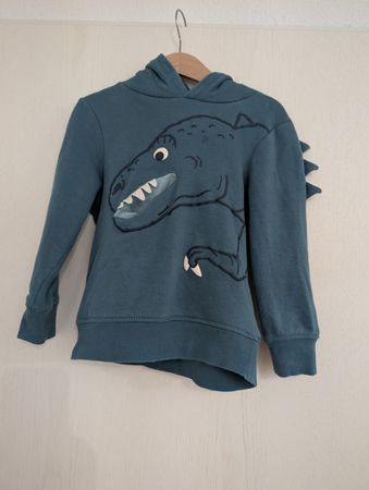 Dino Pullover für Jungs