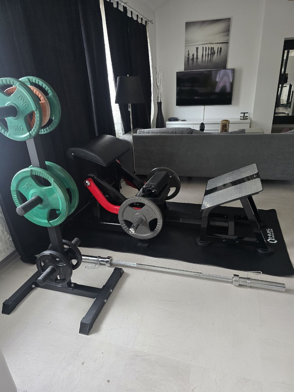 Hometrainer: Hip Thruster Steel-Flex mit Gewichten und Ständer – Usato da Derendingen venduto da S.Skorbi