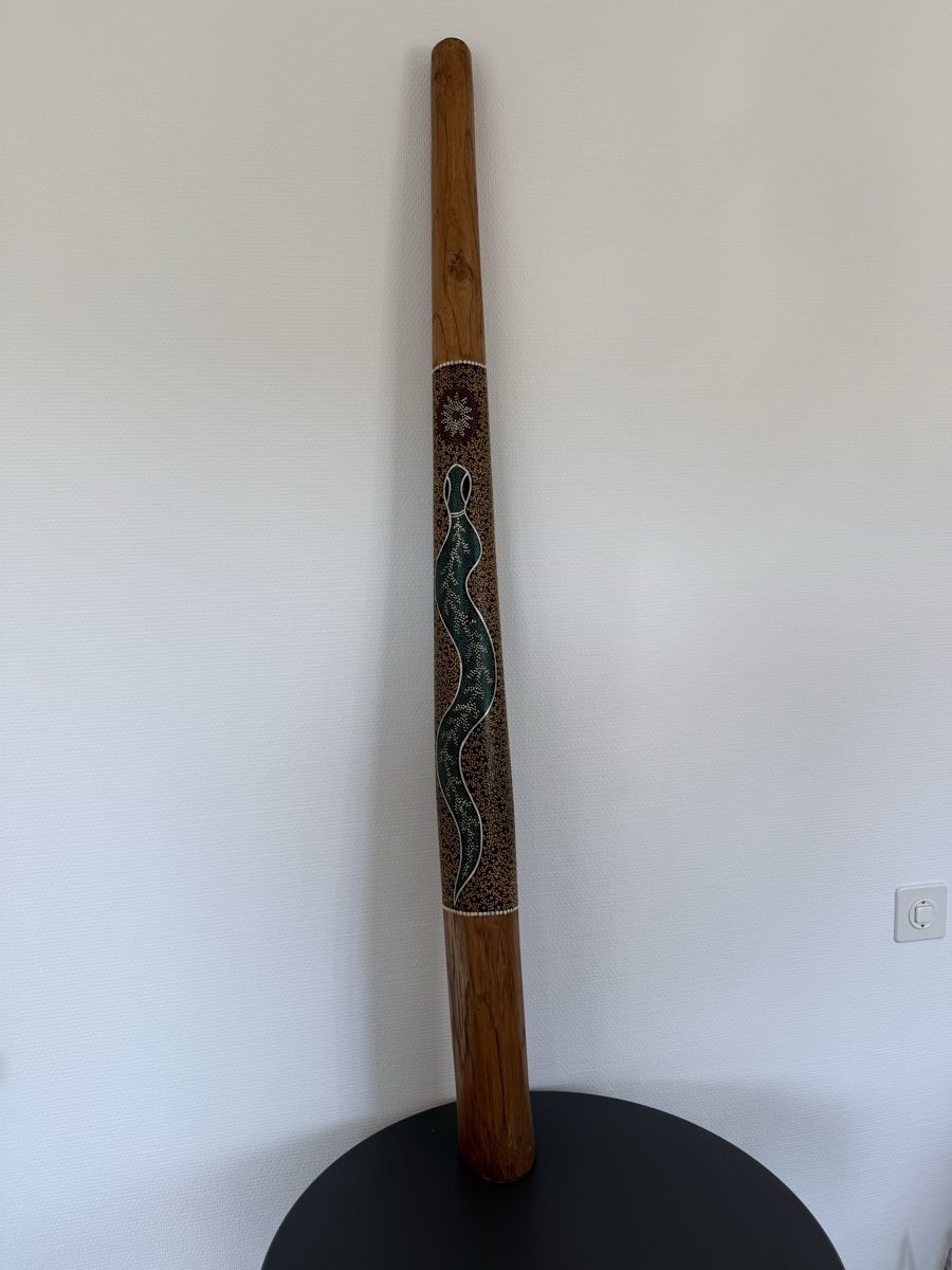 Strumenti musicali: Original Didgeridoo, sehr guter Klang! – Usato da Arbon venduto da Jelmo