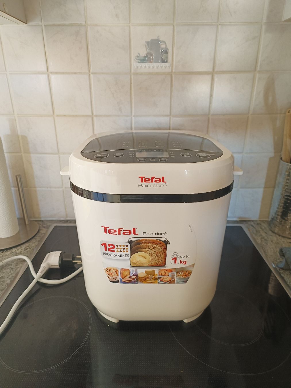 Tefal Küchengeräte: vendo macchina per il pane  – Gebraucht aus Castel San Pietro von giu_698b