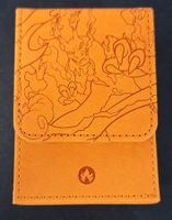 Pokemon Charizard Deck Box (Chinese exclusive)