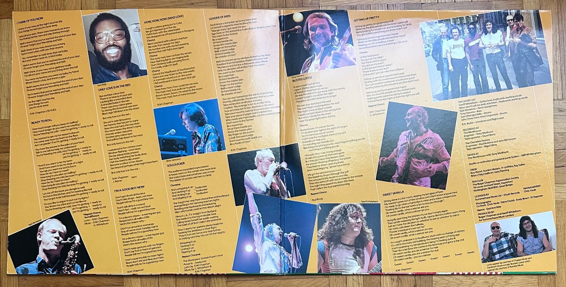 Dischi in vinile: LP - Roger Chapman - The Shadow Knows – Usato da Breganzona venduto da Onairda75 2