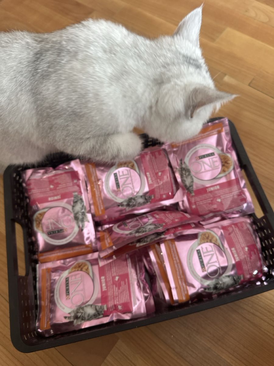 Futter: Pâtée Purina One Junior Neuf – Neu und originalverpackt aus Crissier von dor_8d67