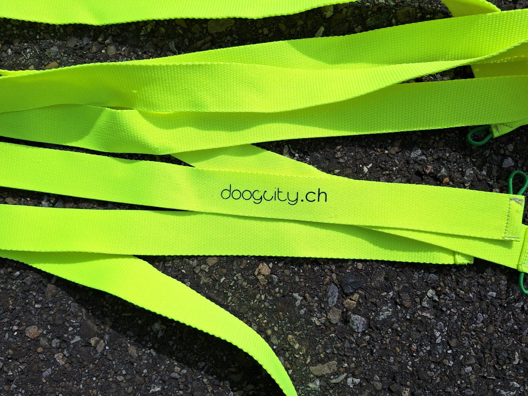 Spielzeuge: Procyon Agility Hunde - trainig Slalom, Parcours – Neu (gemäss Beschreibung) aus Weinfelden von JoeBaer 3