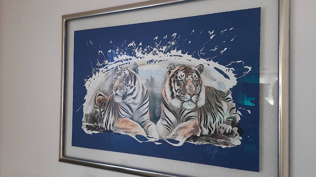 Poster & Bilder: Tiger - Bild, Rolf Knie – Gebraucht aus Zuckenriet von Delta31 3