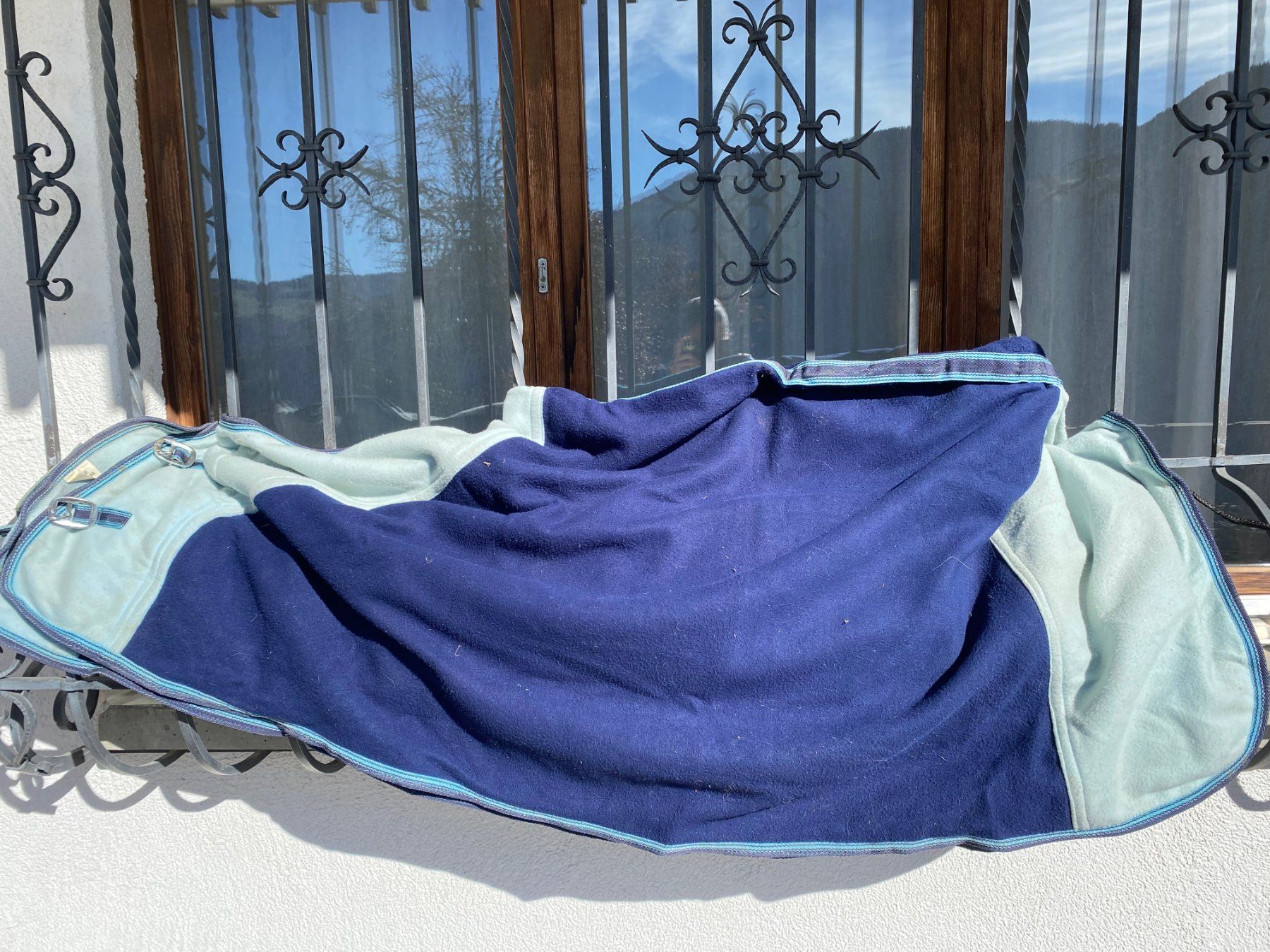 Coperte & Accessori: Lederhalfter, Abschwitzdecke, Stricke, Bürsten – Usato da Fanas venduto da Omibia 1