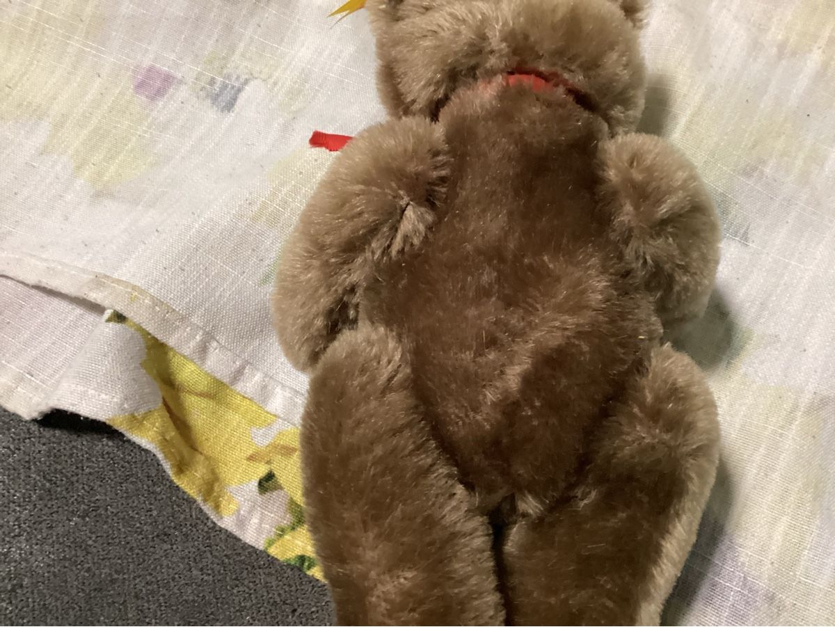 Steiff Giocattoli: STEIFF TEDDY MIT KNOPF UND FAHNE – Usato da Münchenstein venduto da NoSu98 2