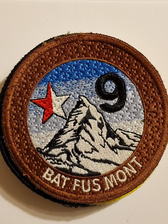 Infanterie Wallis Bat Fus Mont 9 Braun (Gebraucht) in Nyon für CHF 4 ...