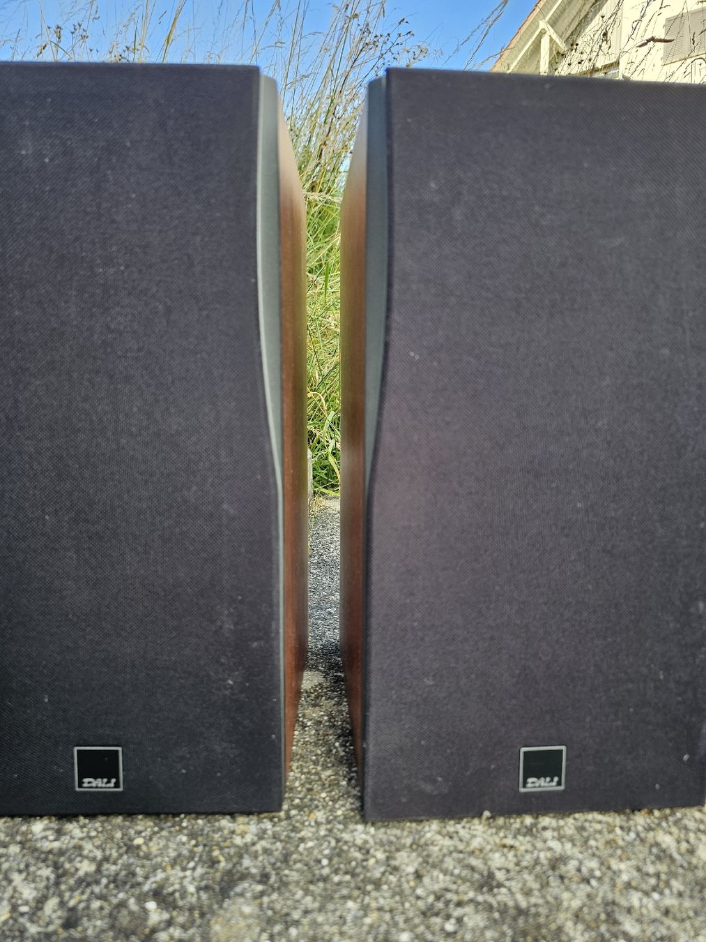 Dali Casse acustiche: Lautsprecher DALI Concept 2 Regallautsprecher Kirsche 2 Stüc – Usato da Aeugstertal venduto da Levo84