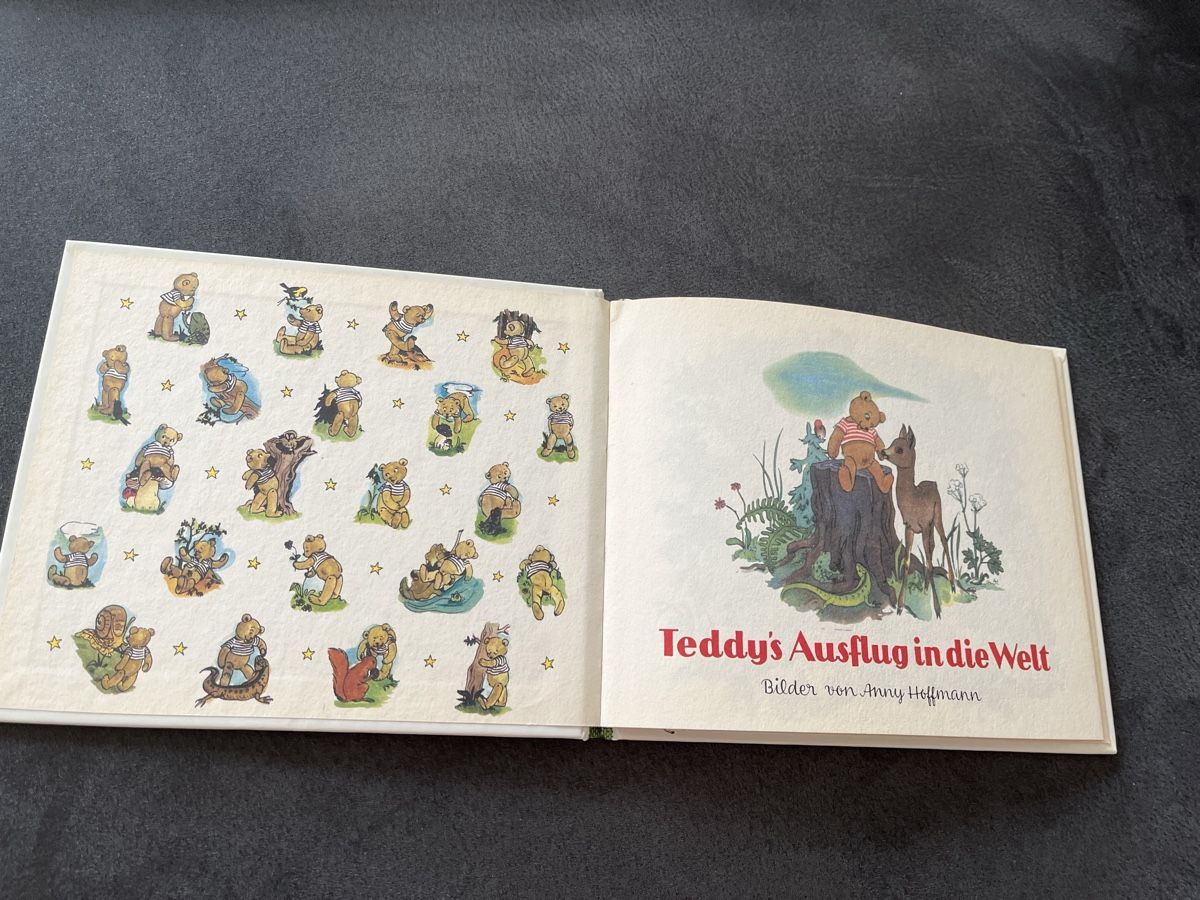 Libri: Teddy's Ausflug in die Welt Anny Hoffmann – Usato da Niederhasli venduto da Suneblueme 1
