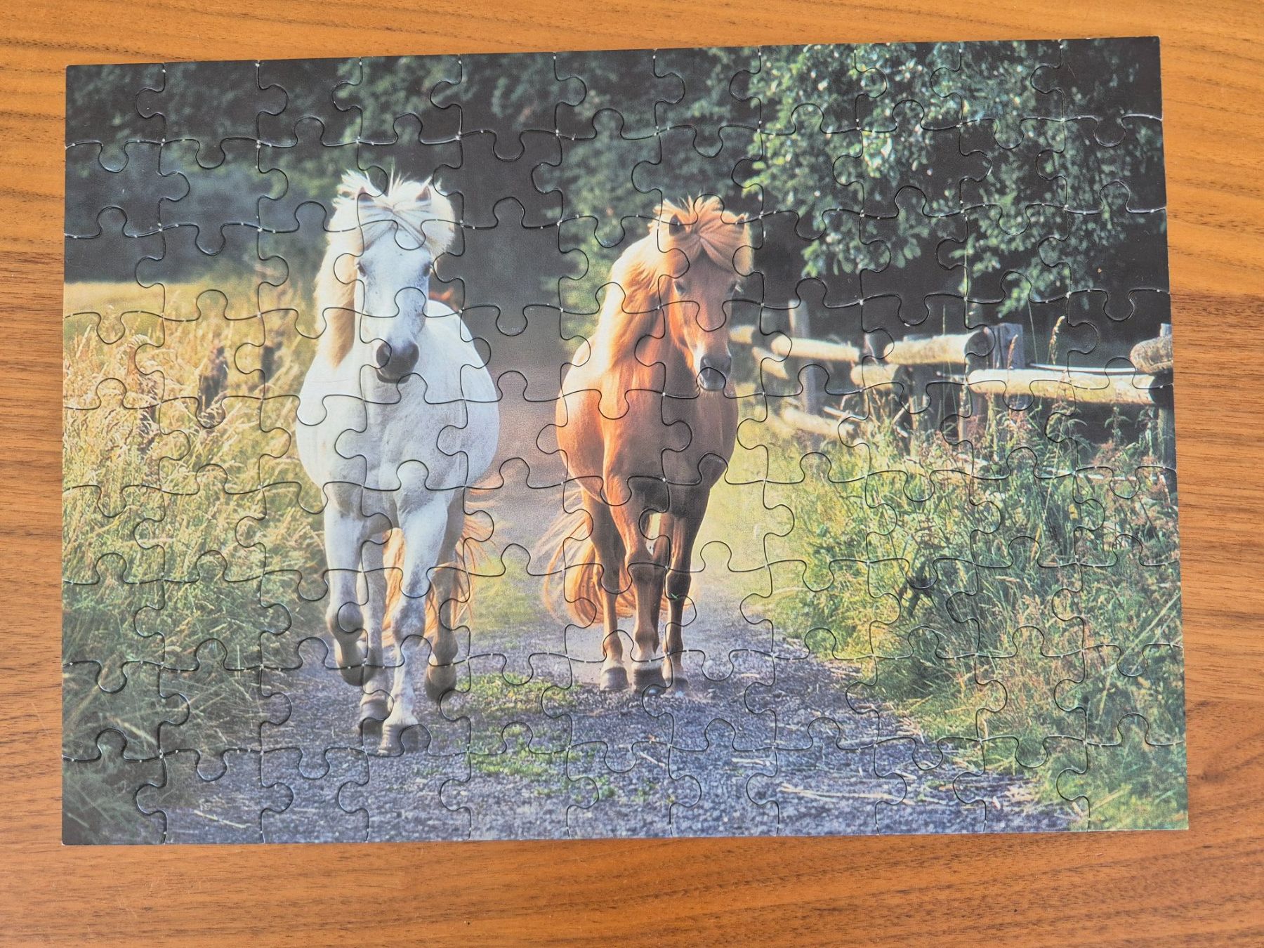 Puzzle: Puzzle 99 Teile – Usato da Lengnau AG venduto da Mefari 1