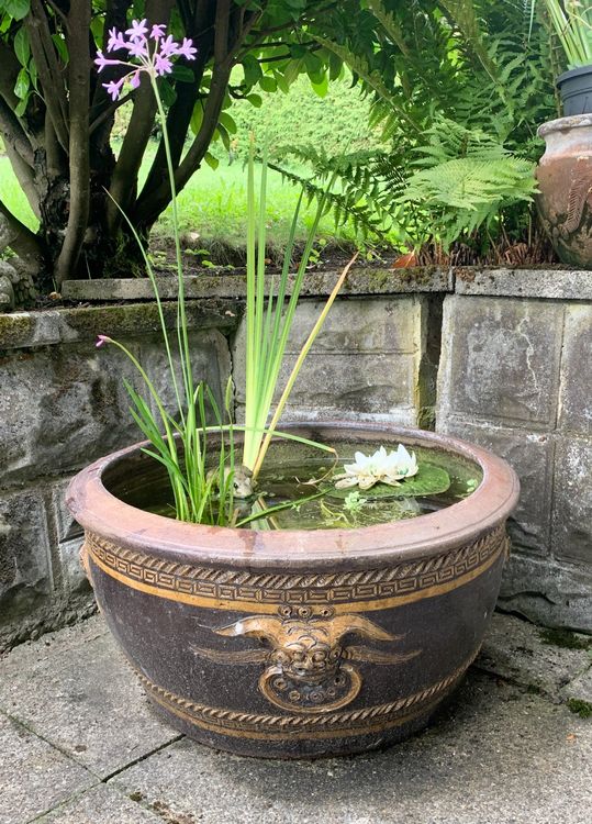 Schöner Keramik Teich/Blumentopf im asiatischen Stil Kaufen auf Ricardo