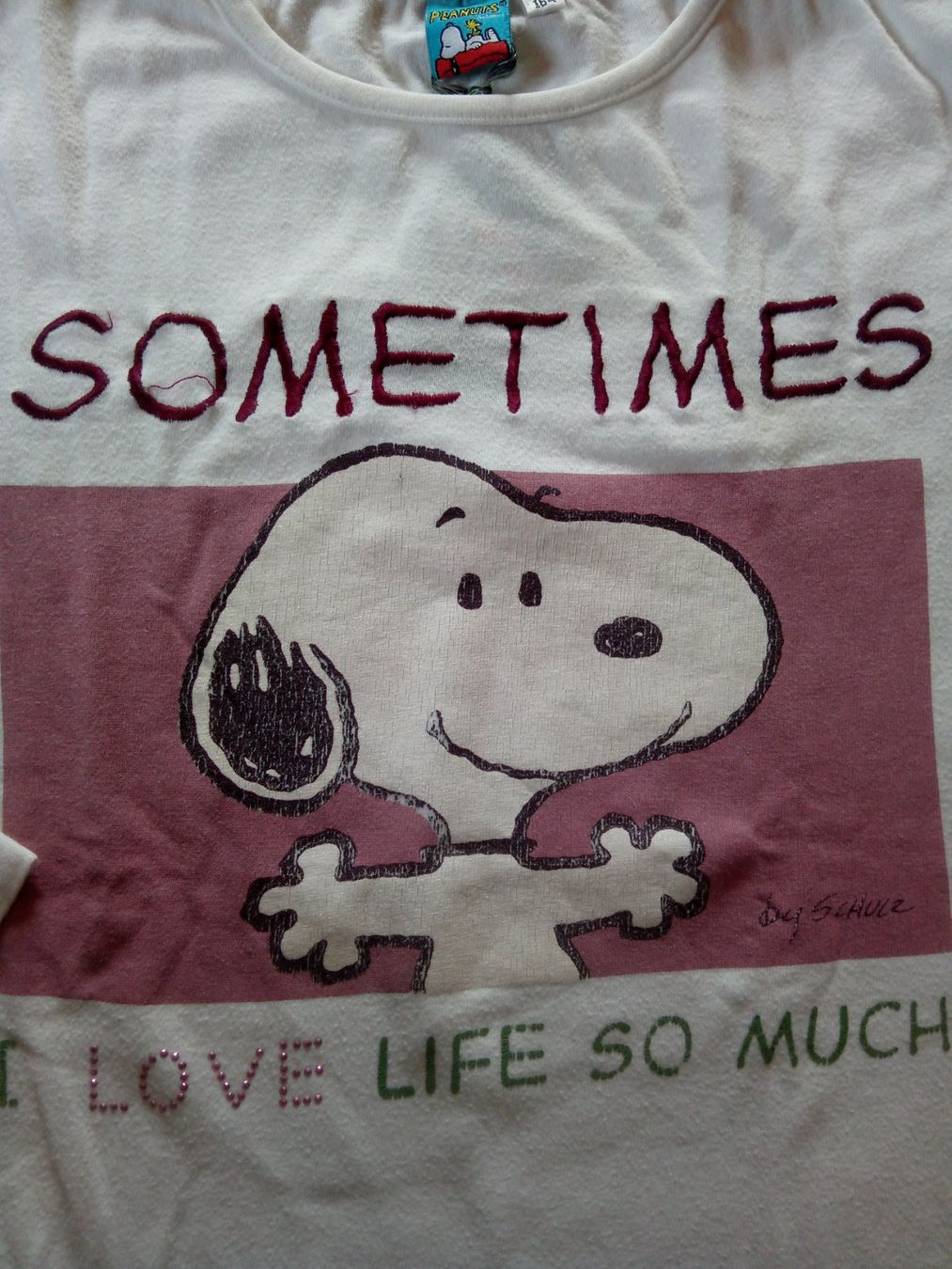 T-shirt: Shirt langarm "Snoopy" Gr. 158/164 – Usato da Magden venduto da Mandy13 1