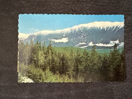 Carte postale ancienne Canada Montagnes Forêt vintage 1976