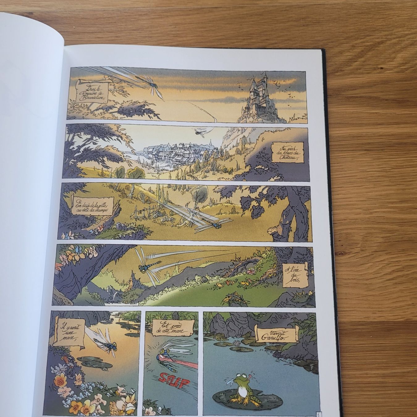 Fumetti: BD Garulfo 1.De mares en châteaux – Usato da Biel/Bienne venduto da Destockweb 2
