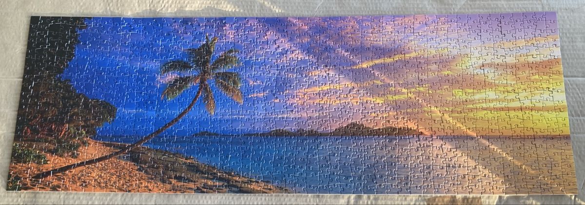 Puzzles: Schmidt Panorama Puzzle 1000 Teile – Gebraucht aus Steffisburg von sunflower2302 2