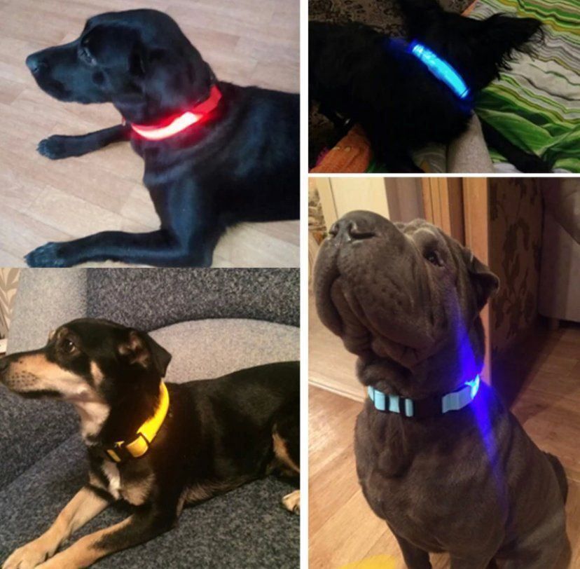 Leine & Halsband: Hunde LED Leuchthalsband – Neu und originalverpackt aus Meggen von Rbrett