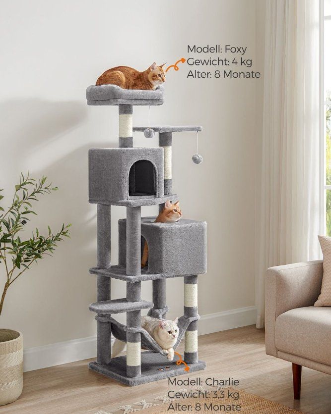 Katzenbaum - Kratzbaum: Kratzbaum 155cm Katzenbaum Höhlen Hängematte MODERNO – Neu (gemäss Beschreibung) aus Lachen SZ von MAMORU-MOEBEL 2