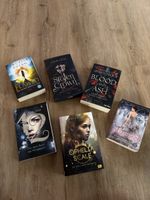 Fantasy-romance Bücher