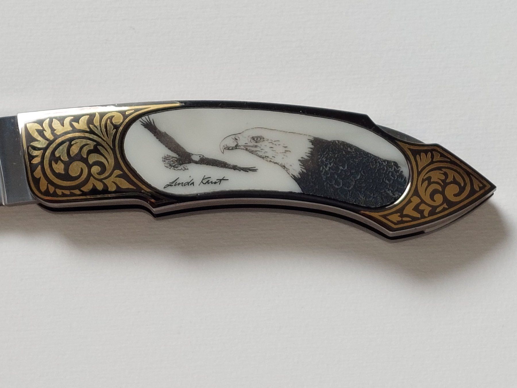 Zubehör: Gigand Knives - Endangered Species Collection - "Eagle" – Neu (gemäss Beschreibung) aus Liebefeld von Helveticus6 3