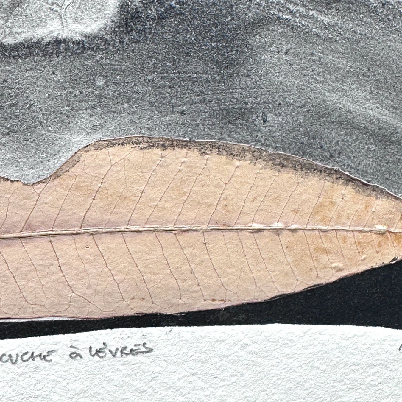 Tableaux: Composition abstraite "Mouche à lèvres" signée BASSEM 1994 – D'occasion à Morges par vintiques 5