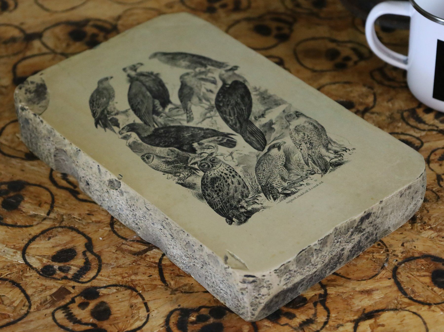 Grafica & Litografie: Lithographiestein "Adler, Geier, Eule, Falke" – Usato da Birrwil venduto da brandschatz_birrwil 4