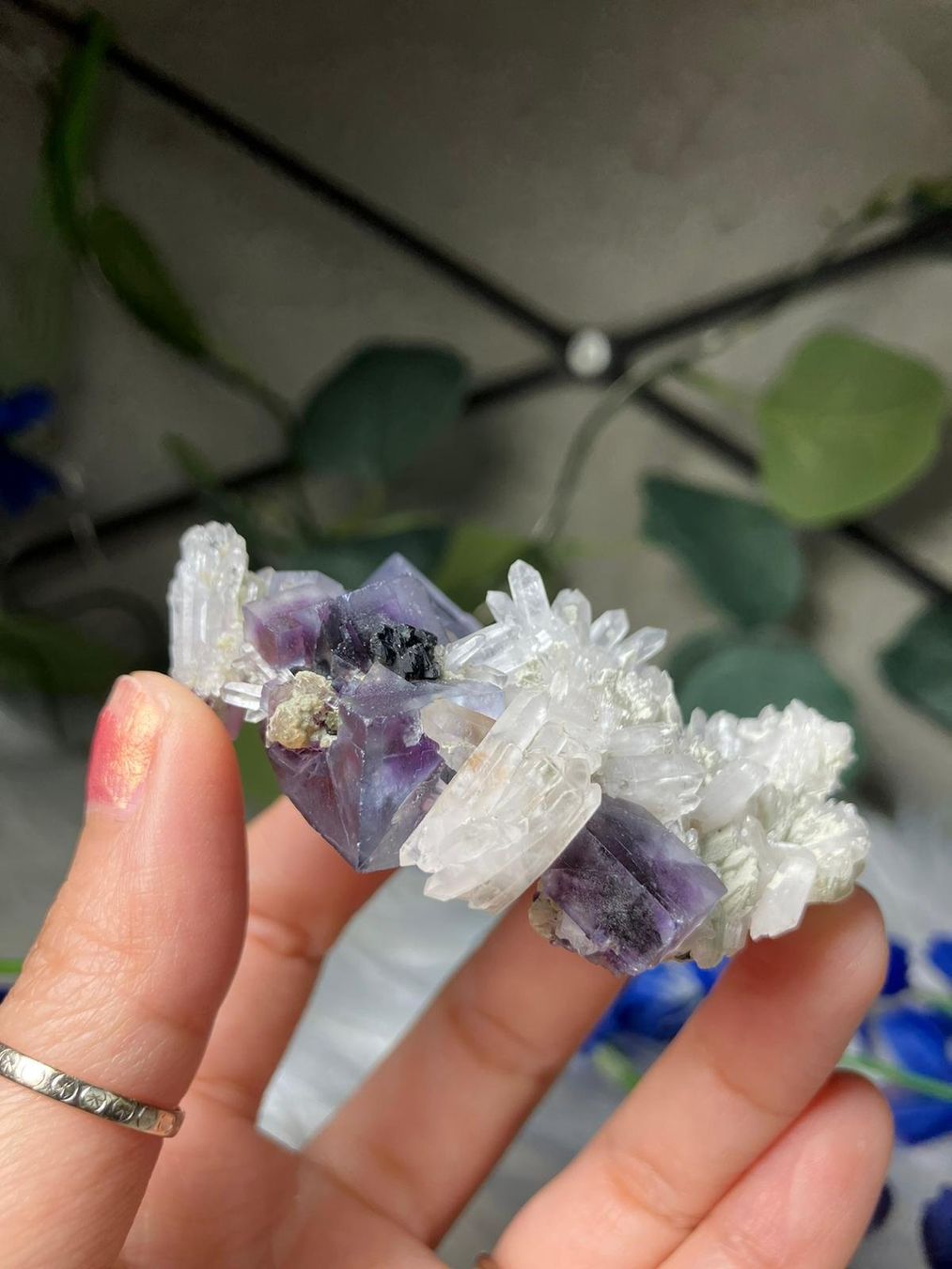 Minerali & Pietre curative: Blauer Fluorit mit Quarzcluster – Usato da Neuheim venduto da m.hald 2