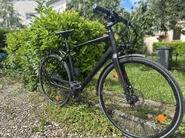 Specialized source courroie alfine 11