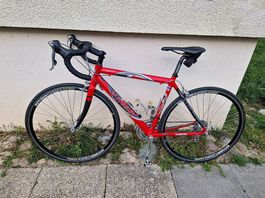 Rennrad Rot