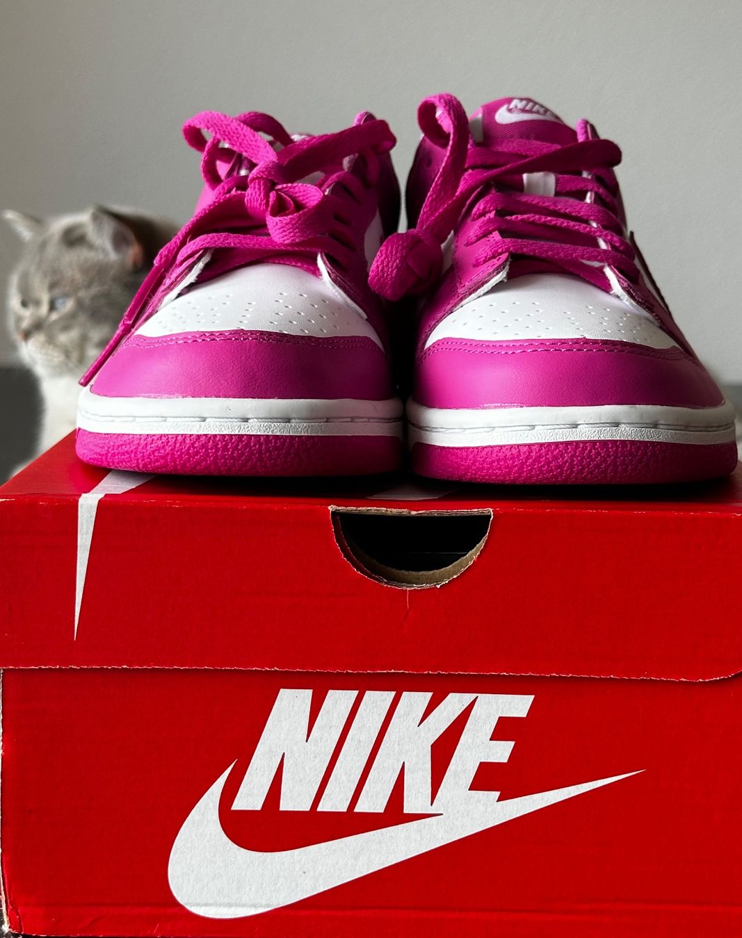 Scarpe da uomo: Dunk Low Fuchia – Nuovo e nell'imballaggio originale da Biel/Bienne venduto da Akwawini 4