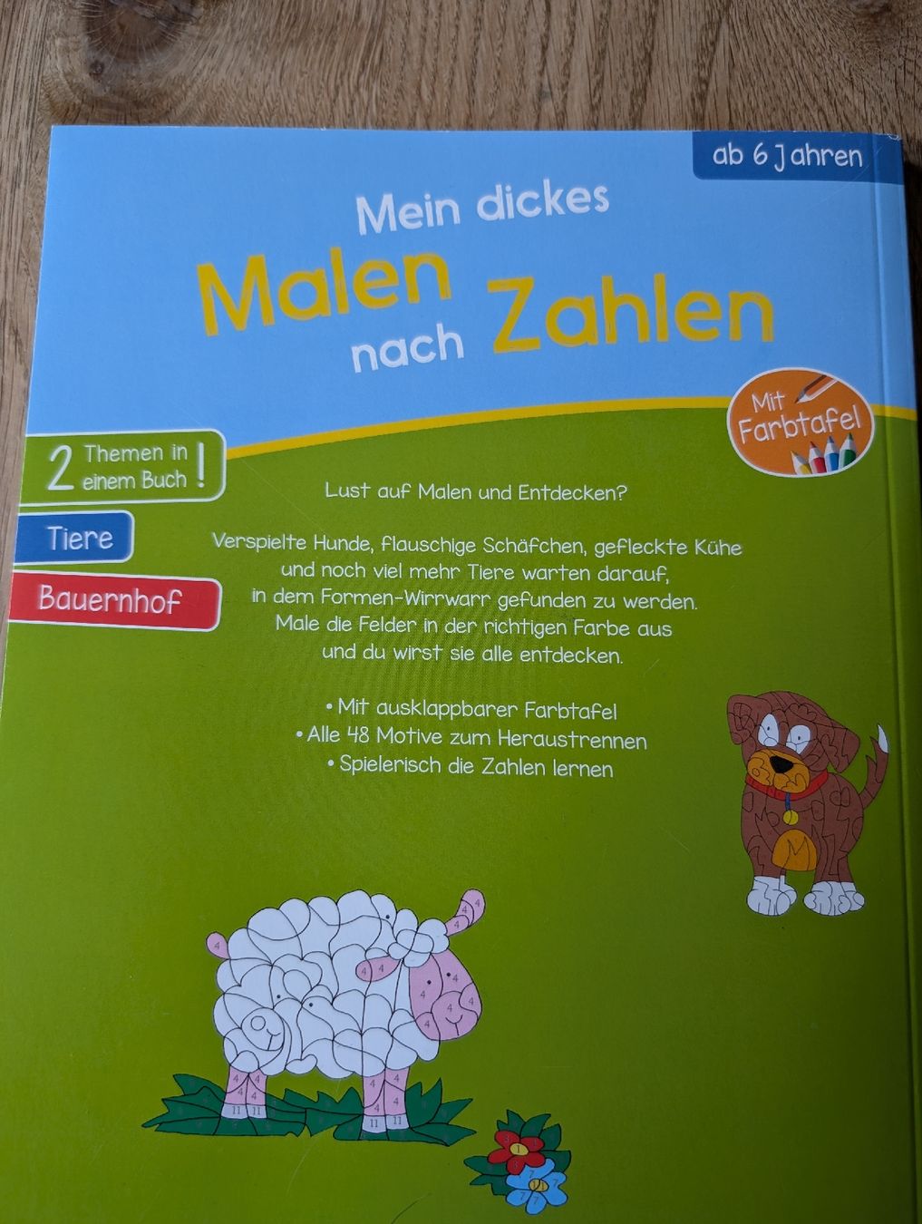 Bücher: Malen nach Zahlen, ab 6 Jahren – Neu (gemäss Beschreibung) aus Winterthur von voan 1