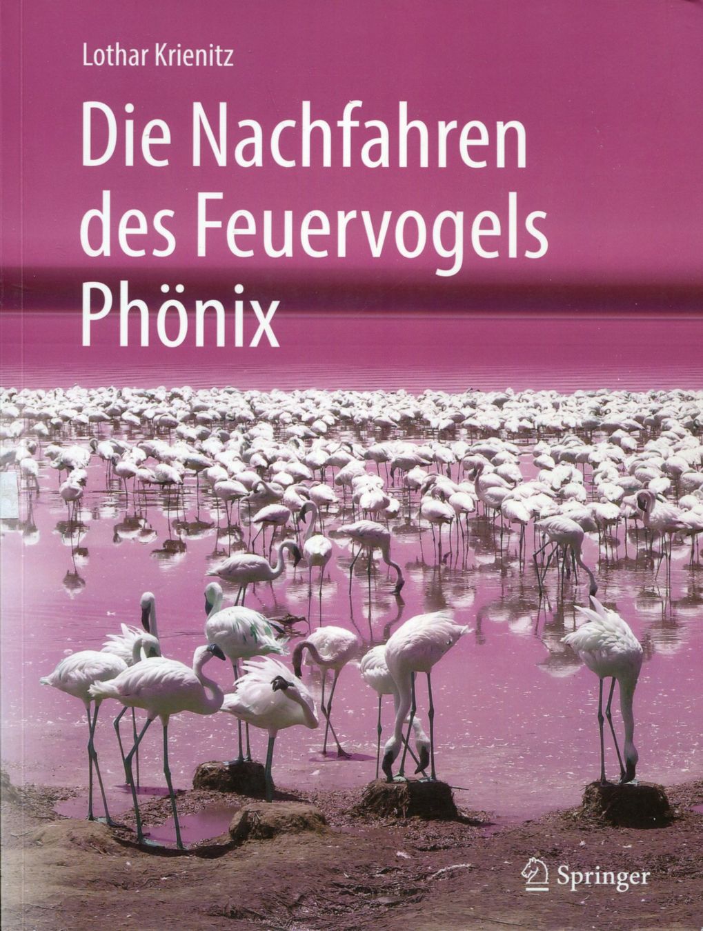 Libri: Flamingos, Zwergflamingos – Usato da Aarau venduto da Elmaar41