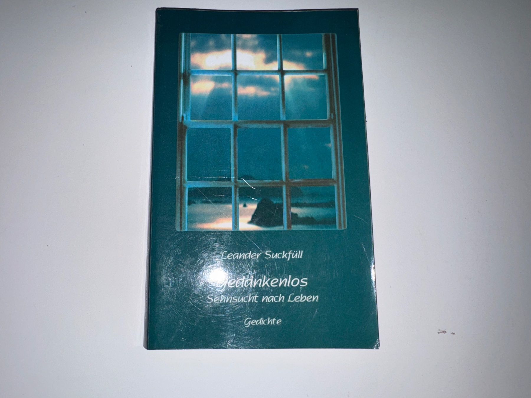 Libri: Buch: Gedankenlos, Gedichte – Usato da Grosswangen venduto da Second_hand_paradise