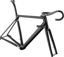 Canyon 2021 Endurance CF SLX Disc Frameset