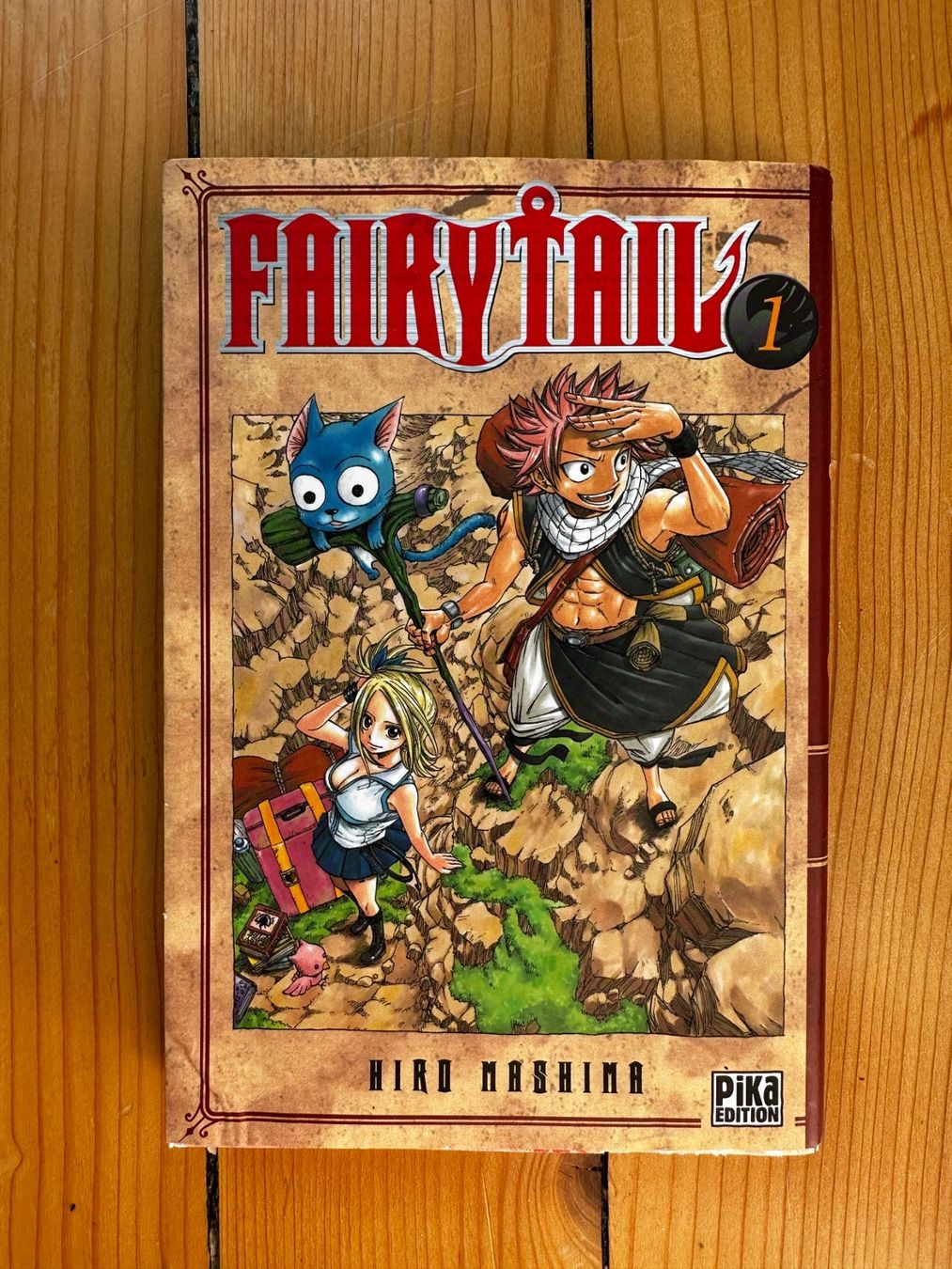 Bücher: Manga Fairy Tail tome 1 – Gebraucht aus Genève von AGBERG