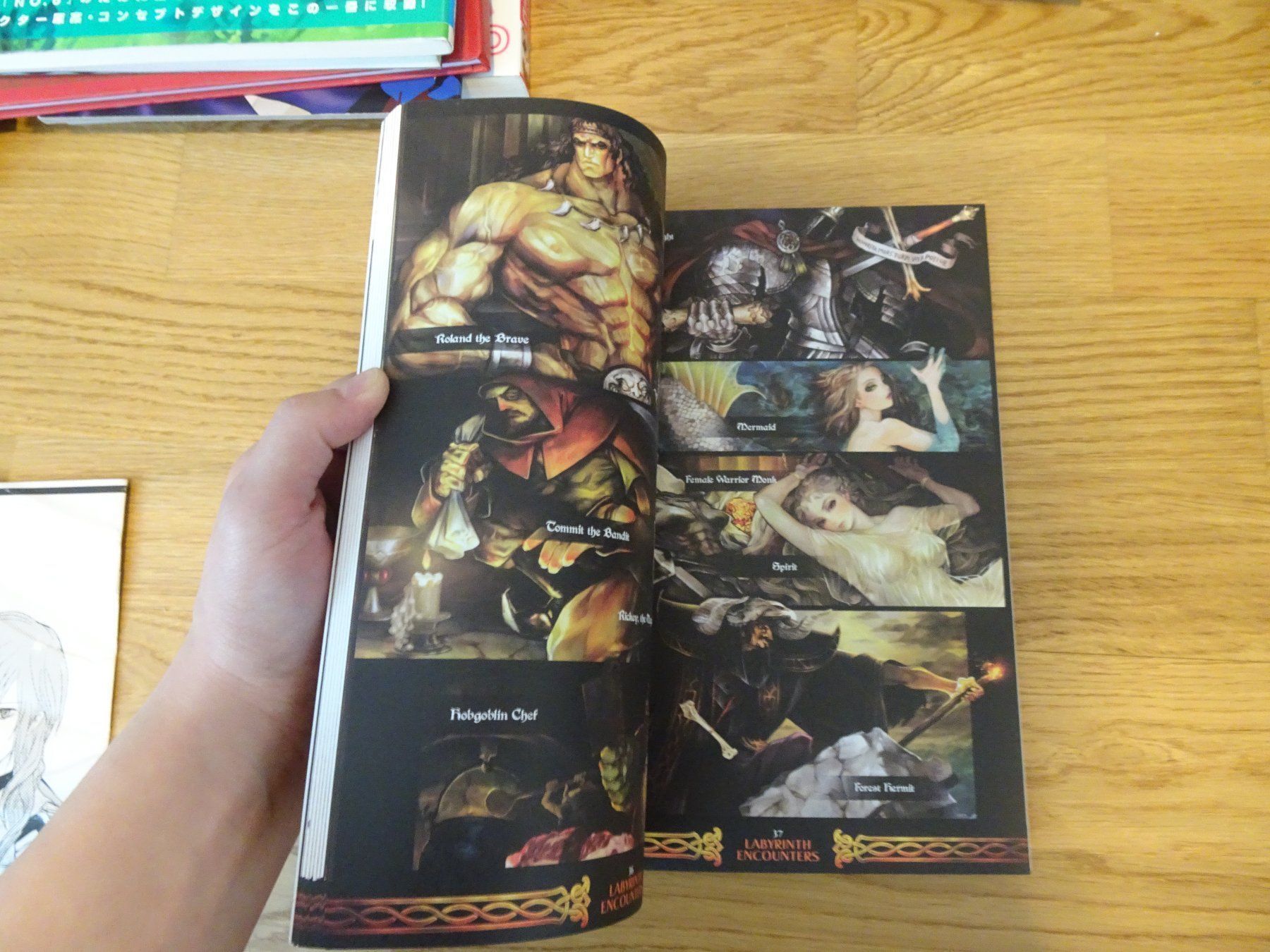 Libri: Dragons' Crown Game Artbook – Usato da Bern venduto da Maronn 5