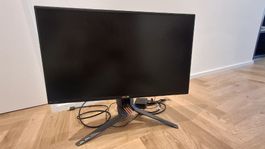 Top Monitor ASUS  ( Neupreis 618.-)