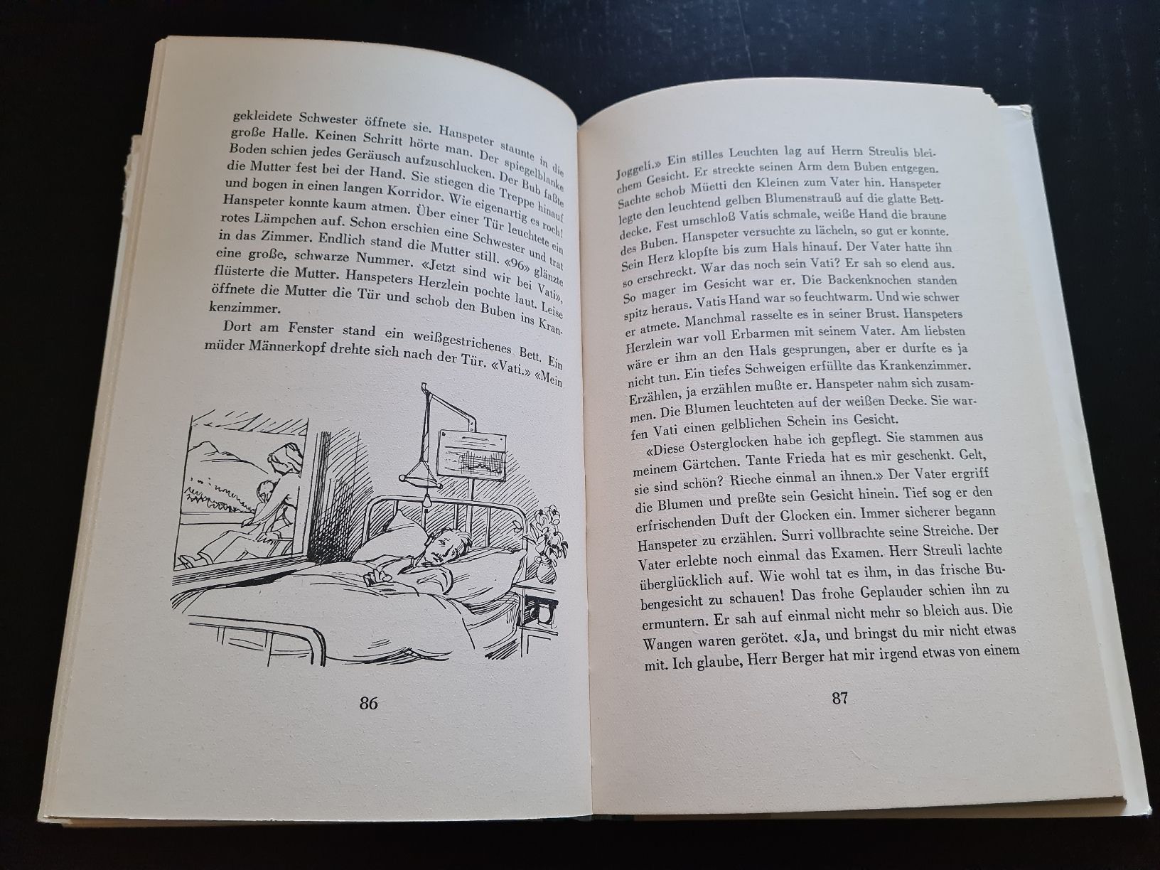 Libri: Hanspeter – Usato da Erstfeld venduto da Mario_boe0 3