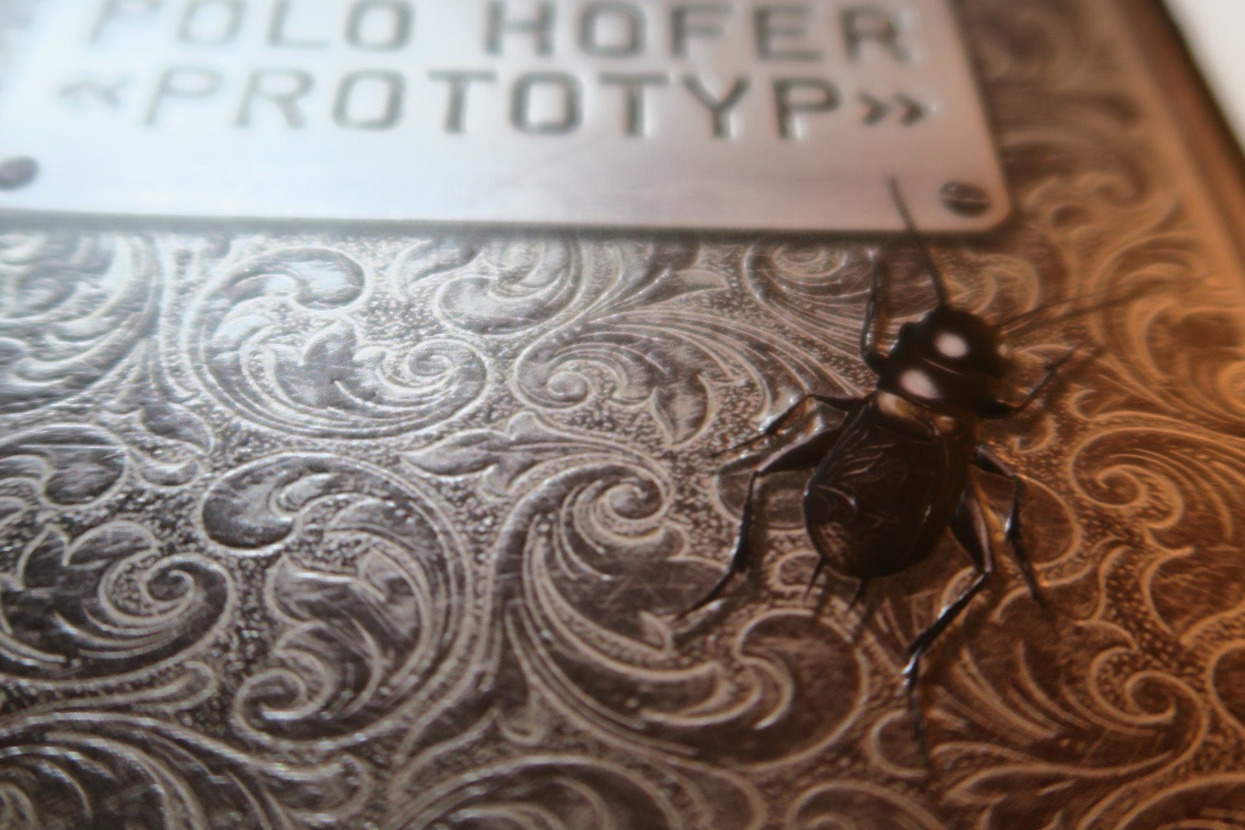 CD: Polo Hofer – Prototyp – Usato da Thun venduto da Karibu70 1