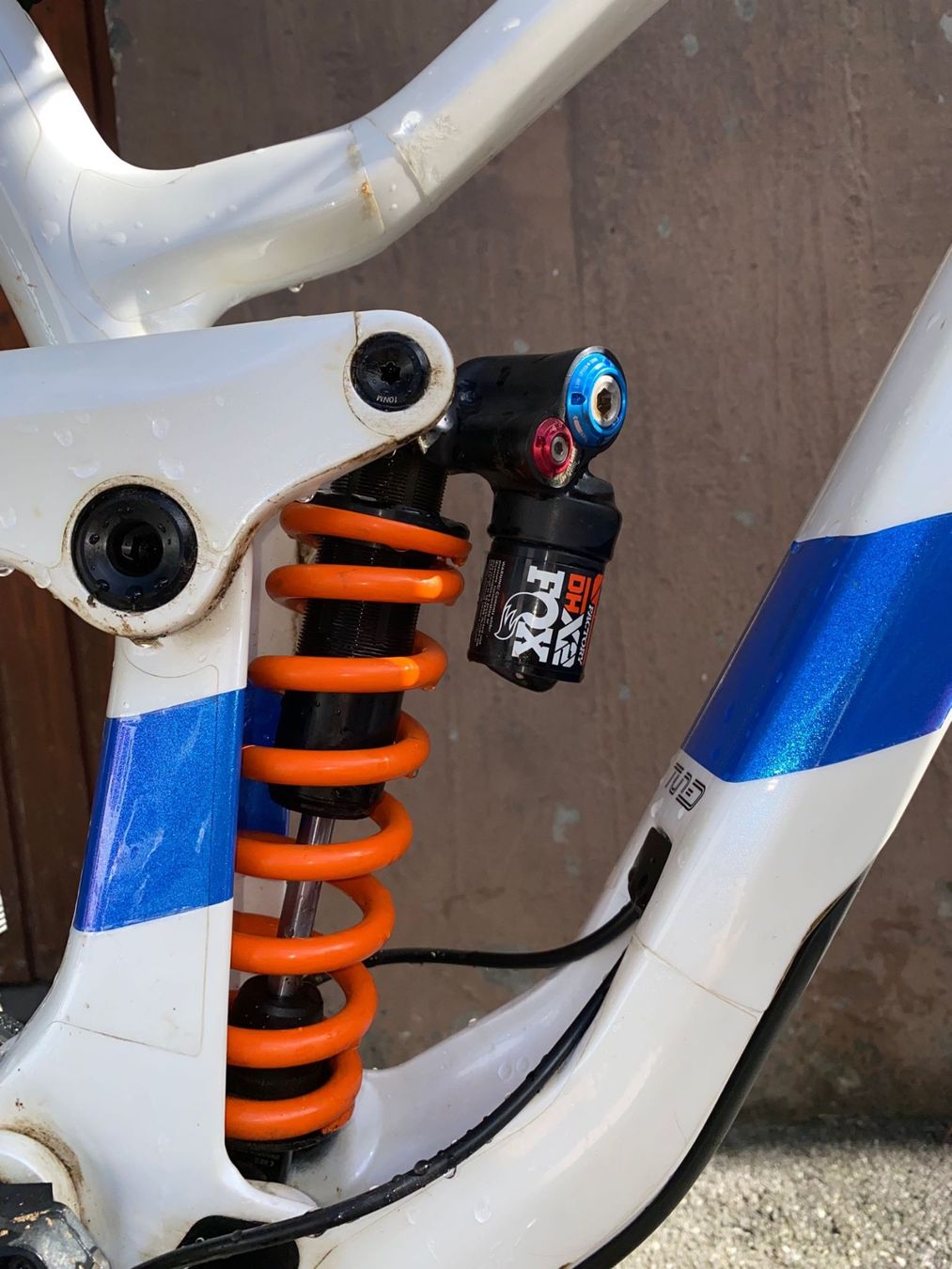 Scott Biciclette: Scott Gambler Tuned – Usato da Domat Ems venduto da SirAntunes 3