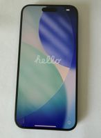 iPhone 15 Pro Max 256 GB Black Titanium